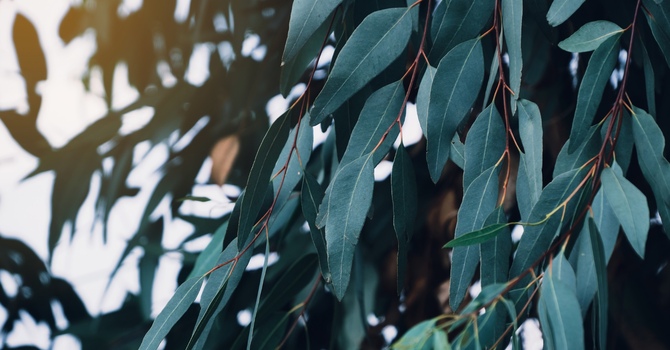 BN#61: The Most Important Part of Your Life Journey Here on This Planet image