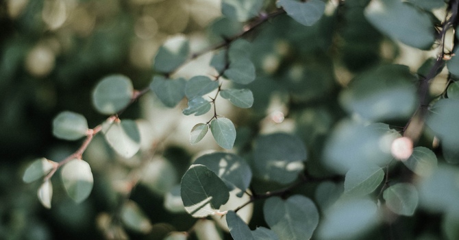 BN#61: The Most Important Part of Your Life Journey Here on This Planet image